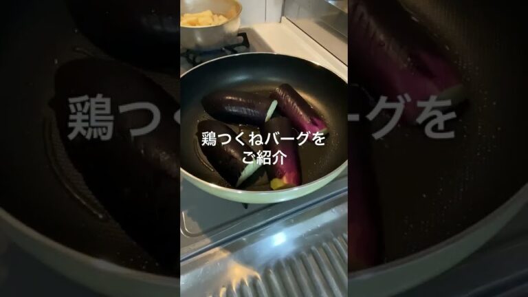 【夫が絶賛】さっぱりヘルシー鶏塩つくねバーグ