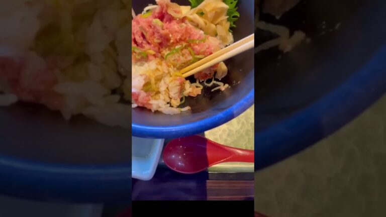 トロが新鮮で、旨過ぎて箸が止まらなくなる【絶品】ネギトロ丼