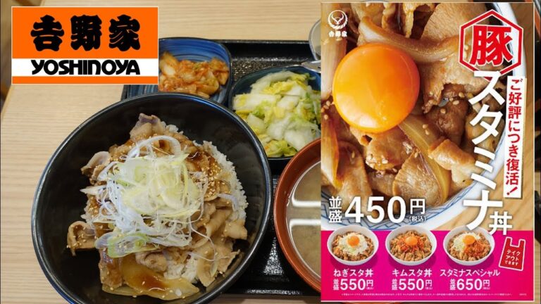 【吉野家】の復活！「豚スタミナ丼 」Pork Bowl with garlic and soy sauce of YOSHINOYA【飯動画】