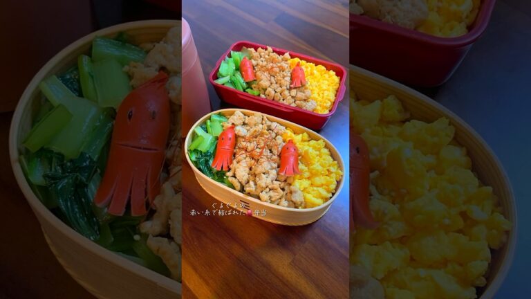 【３色丼×夏野菜スープ弁当】彼に作るお弁当#同棲ご飯 #ふたりごはん #手作りご飯 #料理 #お弁当作り #お弁当動画 #cooking #自炊 #３色丼#３色丼弁当