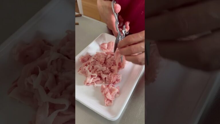 ねぎ塩豚めし #shorts