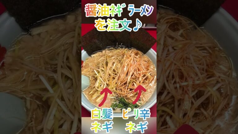 【ラーメン山岡家】【紹介】ベースは醤油！白髪ネギとピリ辛ネギを贅沢に盛った一杯を堪能♪【岐阜 ラーメン】