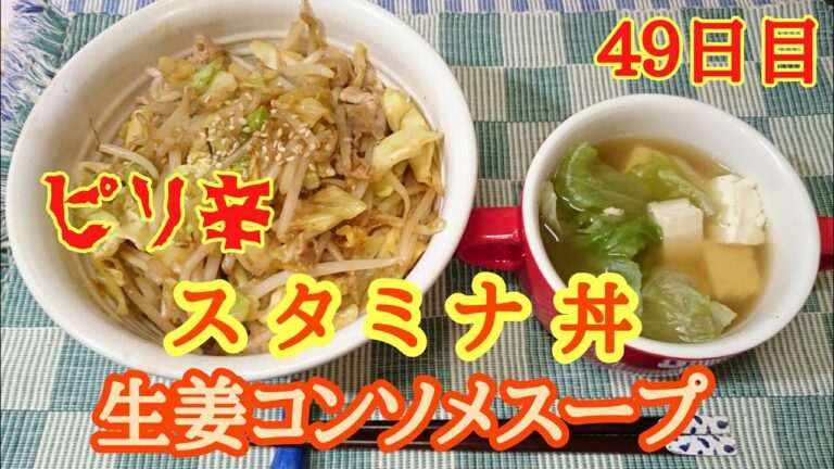 【燃焼系】ピリ辛スタミナ丼＆生姜コンソメスープ【４９日目】