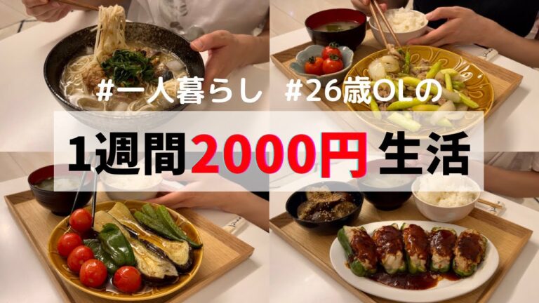 食費1ヶ月1万円の一人暮らし夜ご飯【1週間分紹介】ピーマンの肉詰め🫑夏野菜の焼き浸し🍅素麺レシピetc…