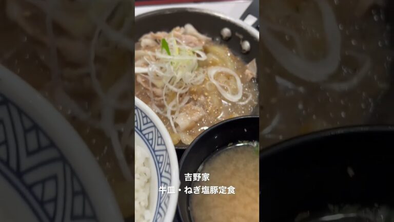 ⚡️ 2023/01/10 吉野家 牛皿ねぎ塩豚定食