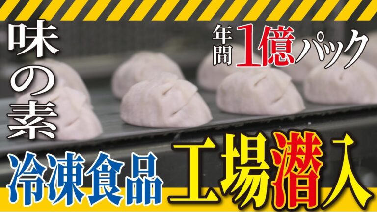 【工場見学】味の素の冷凍ギョーザができるまで【日本一の冷凍食品工場① 工場へ行こうⅢ】