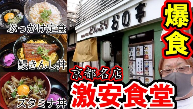 【激安食堂】国産牛のスタミナ丼が550円！大量卵の鰻丼！夏場にぴったりぶっかけ定食の3種類を爆食【どんぶり おの亭】京都上京区