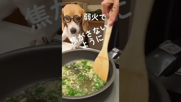 きのこのブルスケッタ #ブルスケッタ #きのこレシピ #しめじ #エリンギ #パン #犬 #犬のいる暮らし #犬好き #ビーグル犬 #犬のいる生活