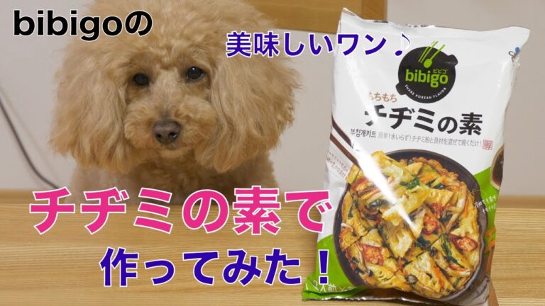 【簡単】bibigo(ビビゴ)のチヂミの素で作ってみた！