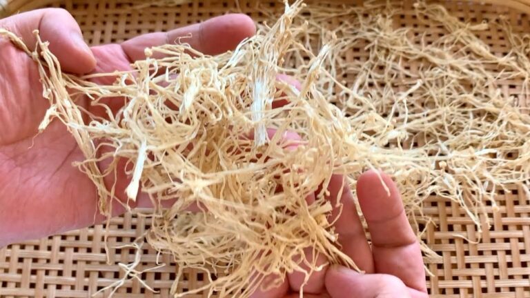 2週間で内臓脂肪が–20％以上も！? 干して刻むだけの｢エノキ茶｣の作り方