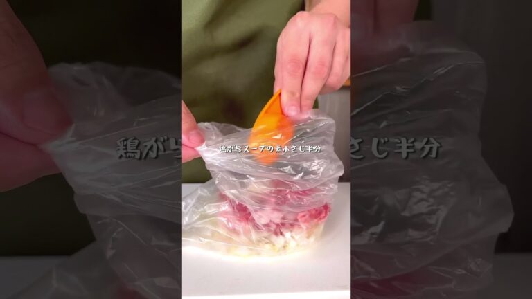 ネギだくが最高すぎる絶品ネギネギ豚バラ丼