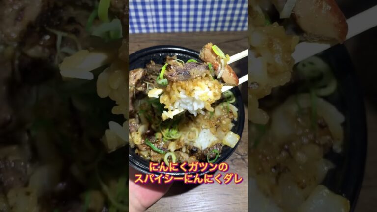 【伝説のすた丼屋】すたみなハラミコンボ焼肉丼 食べてみた