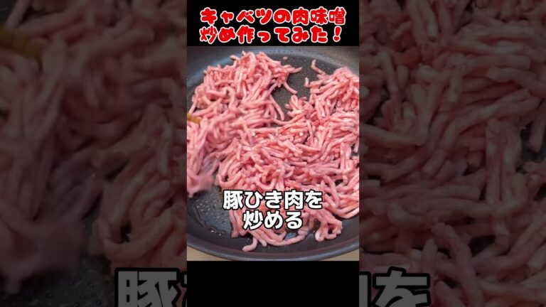 キャベツの肉味噌炒め作ってみた！【今日の夜ごはん】 #料理男子 #food #cooking
