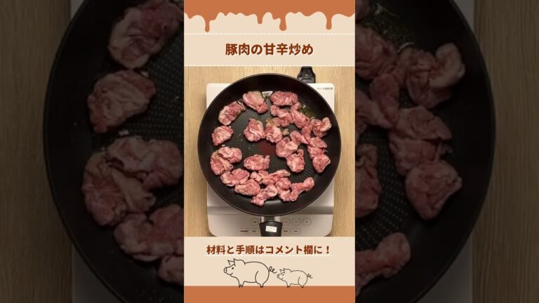 おかずやおつまみに！豚肉の甘辛炒めの作り方【北海道のたれ屋ソラチ】#shorts