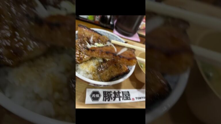 千葉県初の元祖豚丼屋🐽TONTONがオープンしたので食べてみた‼️#shorts #short #グルメ