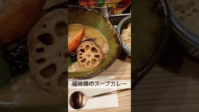 長野県長野市でこんなうめぇ野菜たっぷりスープカレーの店があったのか！#長野市 #グルメ #vlog #shorts