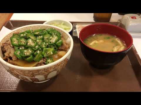 すき家　かつぶしオクラ牛丼おしんこセット