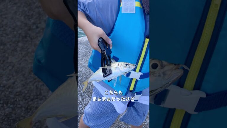 【簡単レシピ】最高のおつまみ！アジのなめろうを作った #shorts