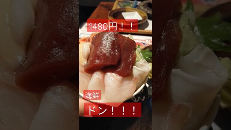 【シハチ鮮魚店】北24条駅から徒歩1分でたべれる超新鮮激安激ウマ海鮮丼1490円、日替わりは950円！ #hokkaido #food #札幌 #japanesefood #北海道 #ランチ