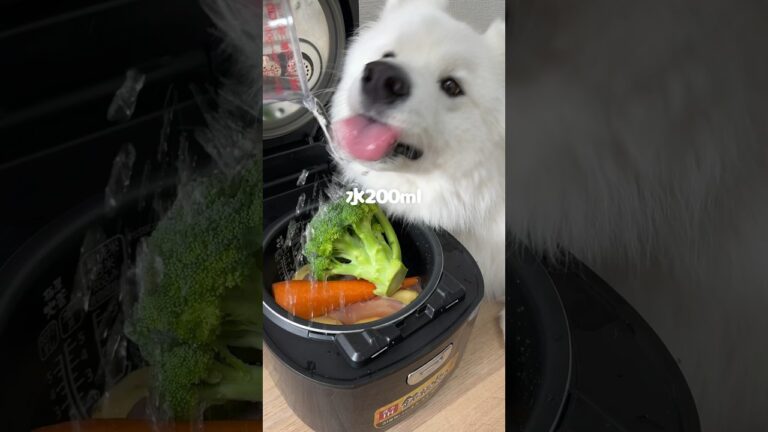 ポテトサラダ風ご飯つくったら爆食してくれました！卵入れるの忘れてた…