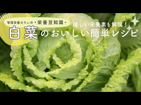 管理栄養士が解説！今が旬の白菜の嬉しい栄養とお手軽レシピ【栄養豆知識】#Shorts
