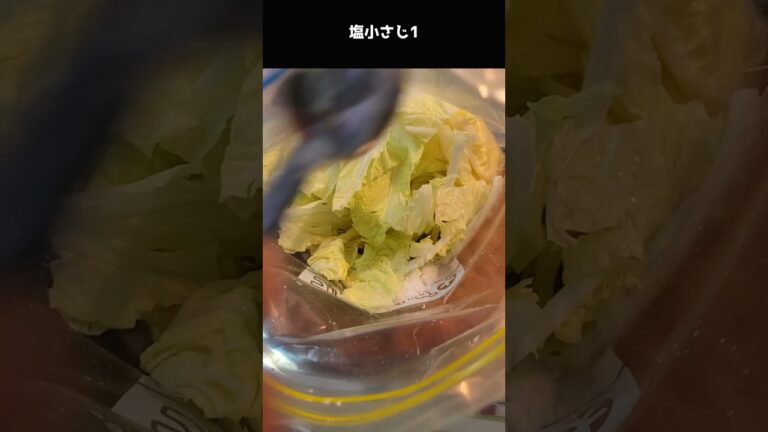 思わず抱えて食べてしまう！やみつき白菜サラダ漬け (作り置き簡単おつまみカニカマver)