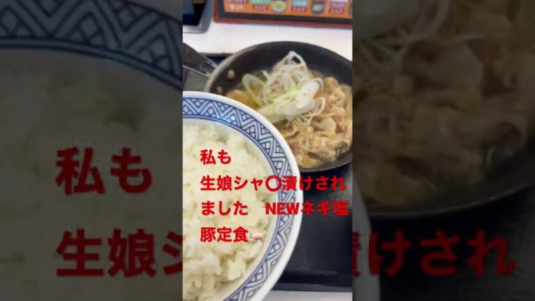吉野家　NEW ネギ塩豚定食
