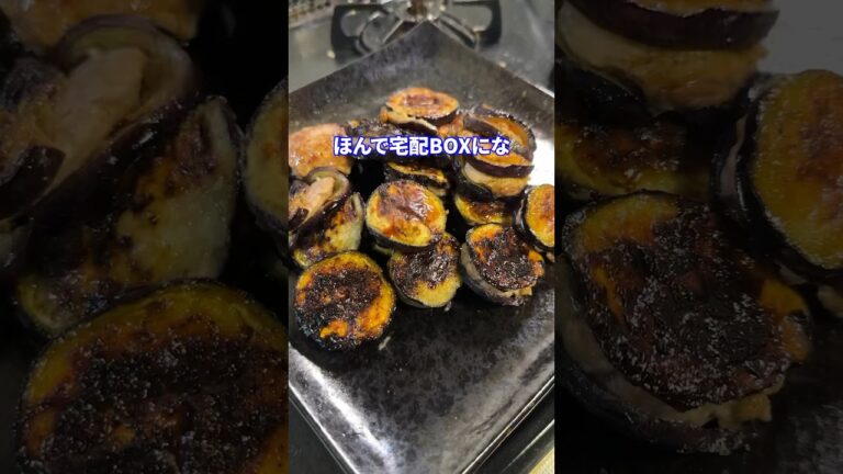 エアコンの怪談feat.茄子の何か #shorts #料理