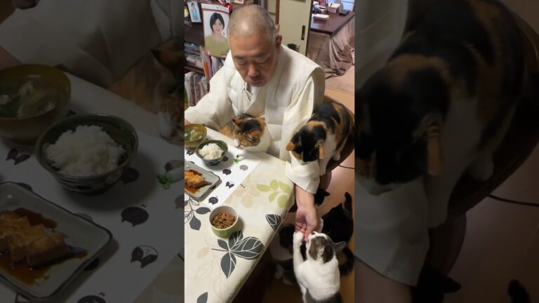 住職の朝ごはん。厚揚げの照り焼き 大根の辛子漬け ごはんと舞茸小松菜の味噌汁