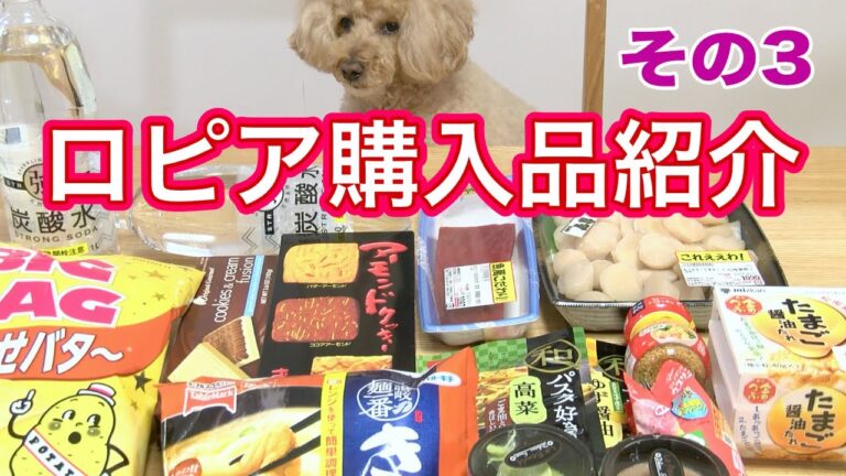 ロピア購入品紹介その3