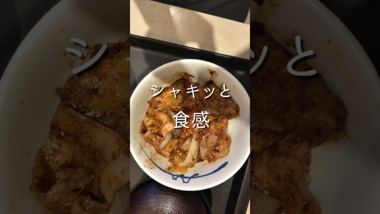 松屋の『スタミナ豚バラ炒め丼』を食べる【3K】