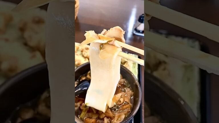 【栃木グルメ】高円寺にある武蔵野うどんの人気店が栃木市に移転！極太麺の肉汁うどんを堪能！ 武蔵野うどん とこ井【栃木県栃木市】#shorts