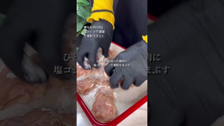 甘辛黒胡椒チキン