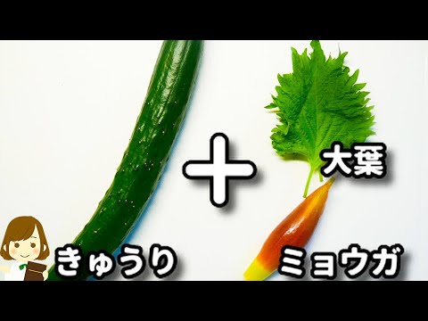 ポリポリ止まらない...！切ってポリ袋に入れて漬けるだけ！『薬味塩昆布きゅうり漬け』の作り方