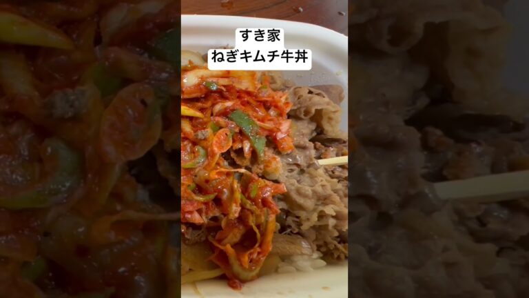 すき家　ねぎキムチ牛丼