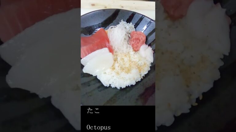 Donburiya's Izu Seafood Rice Bowl　どんぶりやの伊豆海鮮丼