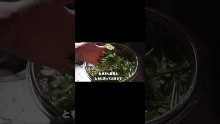 【豚しゃぶサラダ】この夏リピートしたくなる冷しゃぶサラダの作り方#shorts