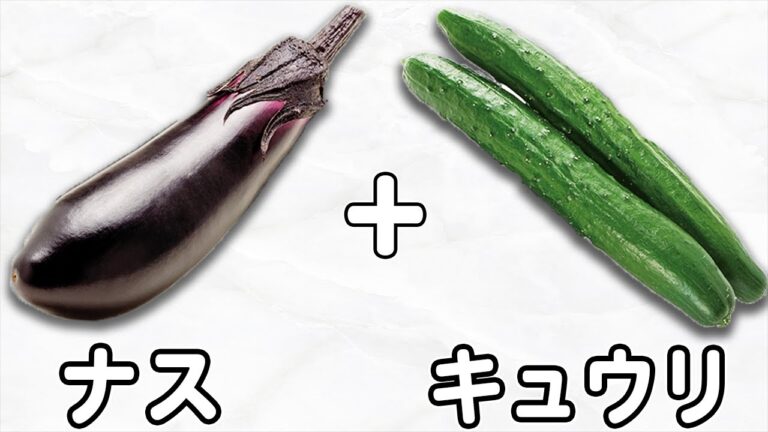 なすときゅうりの簡単レシピ！【ナスとキュウリの浅漬け】切って調味料に漬けるだけ！箸が止まらない絶品料理の作り方/なすびレシピ/きゅうりレシピ/漬物レシピ/作り置きおかず【あさごはんチャンネル】