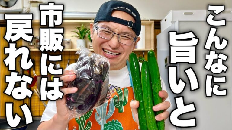 【漬け時間０⁉︎】余ってる茄子ときゅうりは全部これにして欲しい！一度食べたら無限に食べちゃう簡単浅漬けレシピ！