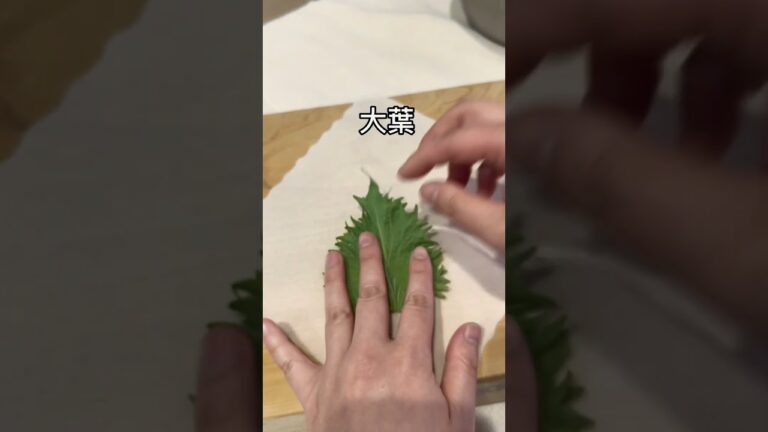 食感が最高！キャベツでヘルシー春巻き作り！♪#shorts #簡単 #アレンジ #レシピ #cooking