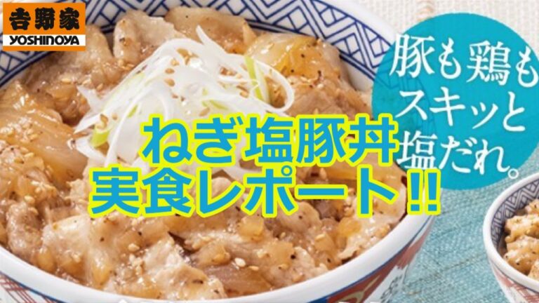 【吉野家】夏の人気定番商品！ねぎ塩豚丼を実食レポート！