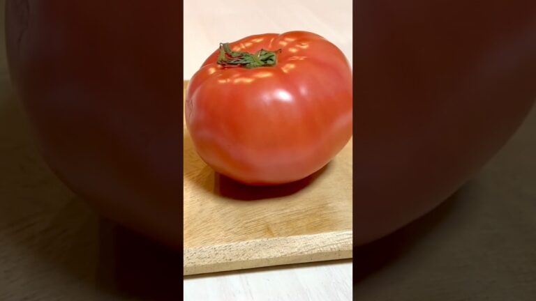 【簡単】トマトと卵のレシピ　tomato & egg  #tomato #eggs #tomatoegg #cheese