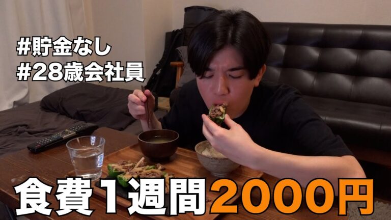 夏野菜を使った節約1週間レシピ | 生青椒肉絲🫑アボカドとトマトのカレー餃子🥟etc…