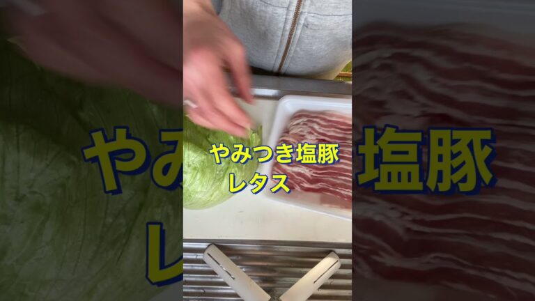ご飯にも酒にも最高〜😍❤️【やみつき塩豚レタス】#Shorts #ひめりんご