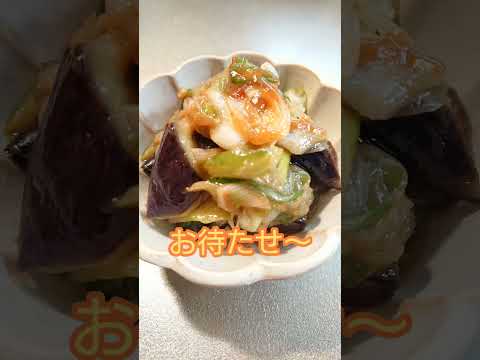 【料理】ナスと長ねぎの味噌炒め作るよ～ #なす #長ねぎ #おかず