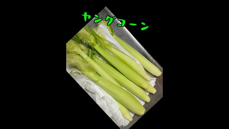 皮ごと焼くだけ【ヤングコーン】旬野菜！美味しい👍この食べ方がシンプルでベスト✨#shorts #ズボラ主婦 #料理 #簡単レシピ