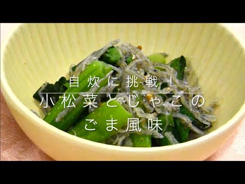 【簡単レシピで自炊に挑戦！】小松菜とじゃこのごま風味