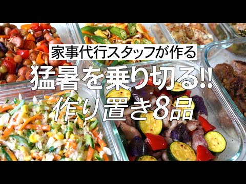 【概要欄にレシピ付き】猛暑を乗り切る！家事代行スタッフによる作り置き8品