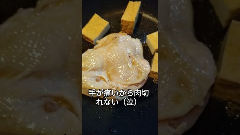 肉を切れないからそのまんま#shorts #鶏の蒸し焼き#厚揚げ #料理酒煮込み