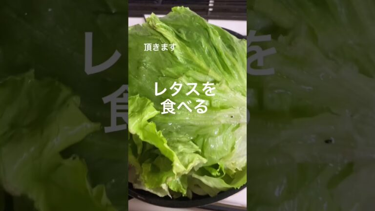レタスの使い方癖が強め#shorts